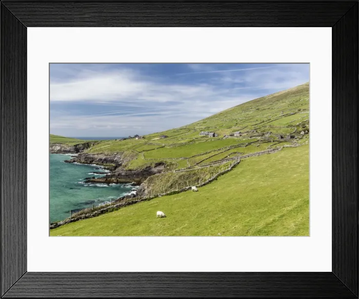 Framed Print : Sheep fences and rock walls along the Dingle Peninsula, County Kerry, Munster, Republic of Ireland, Europe Framed Print : Sheep fences and rock walls along the Dingle Peninsula, County Kerry, Munster, Republic of Ireland, Europe