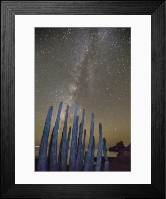 Framed Print : Night view of the Milky Way with organ pipe cactus (Stenocereus thurberi) in foreground, Himalaya Beach, Sonora, Mexico, North America Framed Print : Night view of the Milky Way with organ pipe cactus (Stenocereus thurberi) in foreground, Himalaya Beach, Sonora, Mexico, North America