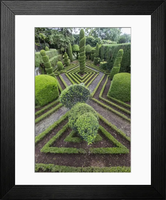 Framed Print : A view of the Botanical Gardens, Jardim Botanico do Funchal, in the city of Funchal, Madeira, Portugal, Europe Framed Print : A view of the Botanical Gardens, Jardim Botanico do Funchal, in the city of Funchal, Madeira, Portugal, Europe