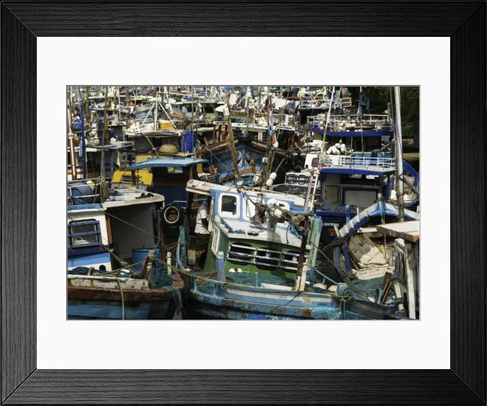 Framed Print : Fishing boats at Negombo lagoon, Negombo, Sri Lanka, Asia Framed Print : Fishing boats at Negombo lagoon, Negombo, Sri Lanka, Asia