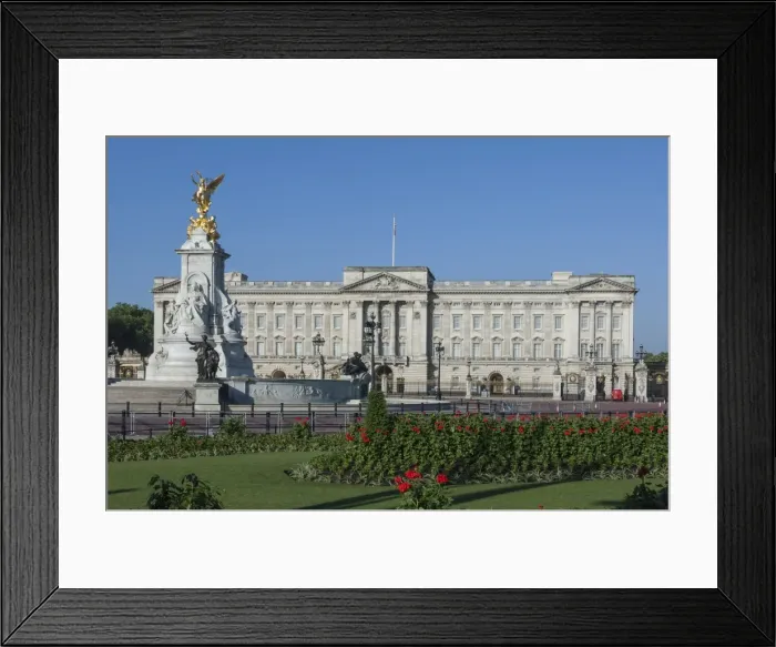 Framed Print : Geraniums at Buckingham Palace, London, England, United Kingdom, Europe Framed Print : Geraniums at Buckingham Palace, London, England, United Kingdom, Europe