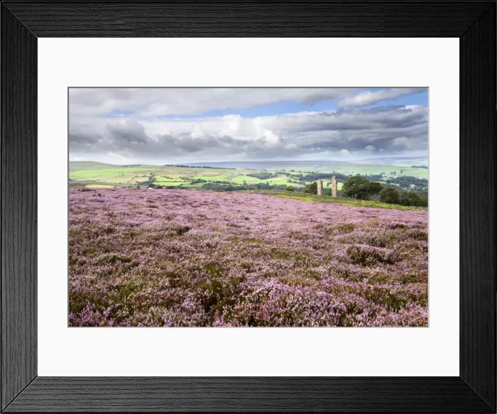 Framed Print : Heather Moorland and Yorkes Folly near Pateley Bridge, Yorkshire, England, United Kingdom, Europe Framed Print : Heather Moorland and Yorkes Folly near Pateley Bridge, Yorkshire, England, United Kingdom, Europe