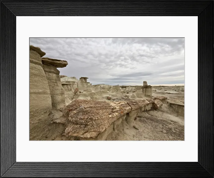 Framed Print : Petrified tree trunk in the badlands, Bisti Wilderness, New Mexico, United States of America, North America Framed Print : Petrified tree trunk in the badlands, Bisti Wilderness, New Mexico, United States of America, North America