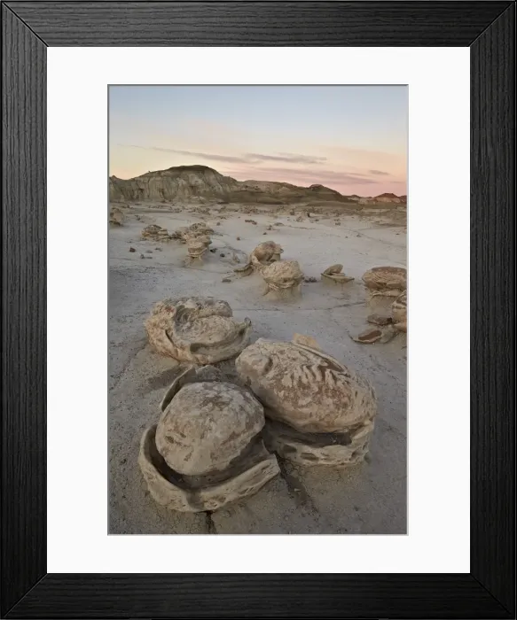 Framed Print : Eroded boulders at the Egg Factory, Bisti Wilderness, New Mexico, United States of America, North America Framed Print : Eroded boulders at the Egg Factory, Bisti Wilderness, New Mexico, United States of America, North America