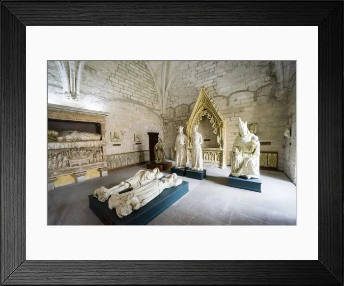 Framed Print : Statues, Sacristy, Palais des Papes, Avignon, France, Europe