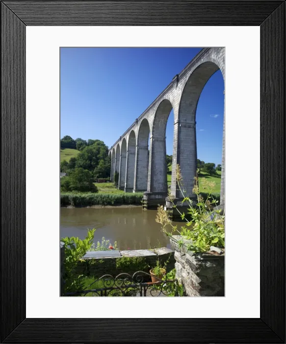Framed Print : Calstock railway viaduct, Tamar Valley, Cornwall, England, United Kingdom, Europe Framed Print : Calstock railway viaduct, Tamar Valley, Cornwall, England, United Kingdom, Europe