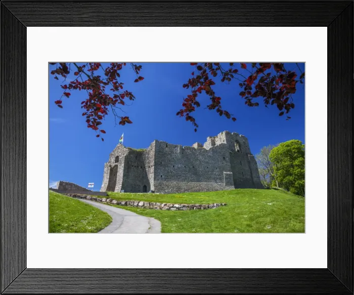 Framed Print : Oystermouth Castle, Mumbles, Gower, Wales, United Kingdom, Europe Framed Print : Oystermouth Castle, Mumbles, Gower, Wales, United Kingdom, Europe