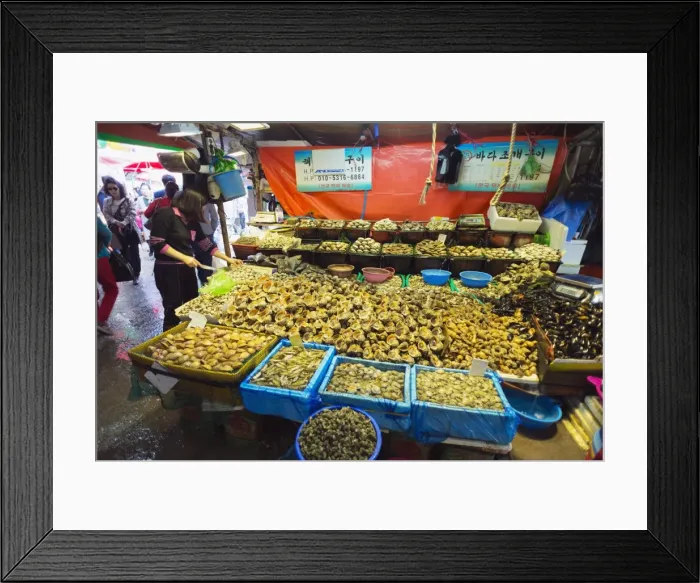 Framed Print : Shell fish, Incheon fish market, South Korea, Asia Framed Print : Shell fish, Incheon fish market, South Korea, Asia
