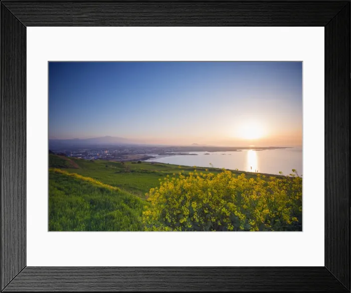 Framed Print : Coastal scenery and sunset, spring rapeseed blossom, Jeju Island, South Korea, Asia Framed Print : Coastal scenery and sunset, spring rapeseed blossom, Jeju Island, South Korea, Asia