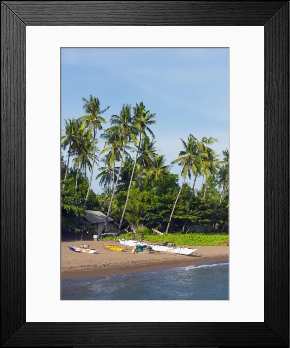 Framed Print : Apo Island, Cebu, The Visayas, Philippines, Southeast Asia, Asia Framed Print : Apo Island, Cebu, The Visayas, Philippines, Southeast Asia, Asia