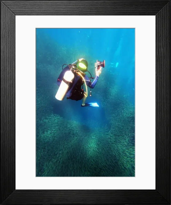 Framed Print : Shoal of sardines and scuba diver, Panagsama Beach, Moalboal, Cubu, The Visayas, Philippines, Southeast Asia, Asia Framed Print : Shoal of sardines and scuba diver, Panagsama Beach, Moalboal, Cubu, The Visayas, Philippines, Southeast Asia, Asia