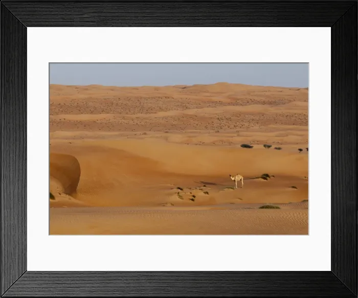 Framed Print : Wahiba Sands desert, Oman, Middle East Framed Print : Wahiba Sands desert, Oman, Middle East