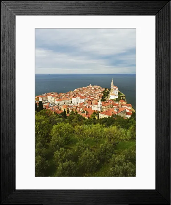 Framed Print : Piran, Gulf of Piran, Adriatic Sea, Slovenia, Europe Framed Print : Piran, Gulf of Piran, Adriatic Sea, Slovenia, Europe