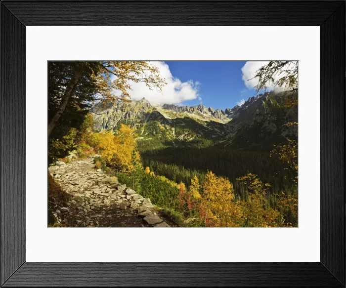 Framed Print : Footpath in the Strbske Pleso area, High Tatras (Vysoke Tatry), Slovakia, Europe Framed Print : Footpath in the Strbske Pleso area, High Tatras (Vysoke Tatry), Slovakia, Europe