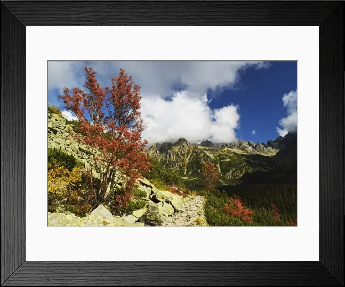 Framed Print : Footpath in the Strbske Pleso area, High Tatras (Vysoke Tatry), Slovakia, Europe Framed Print : Footpath in the Strbske Pleso area, High Tatras (Vysoke Tatry), Slovakia, Europe
