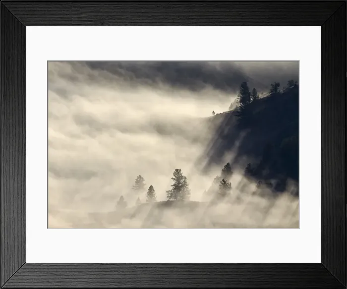 Framed Print : Fog among a hillside with evergreens, Yellowstone National Park, UNESCO World Heritage Site, Wyoming, United States of America, North America Framed Print : Fog among a hillside with evergreens, Yellowstone National Park, UNESCO World Heritage Site, Wyoming, United States of America, North America