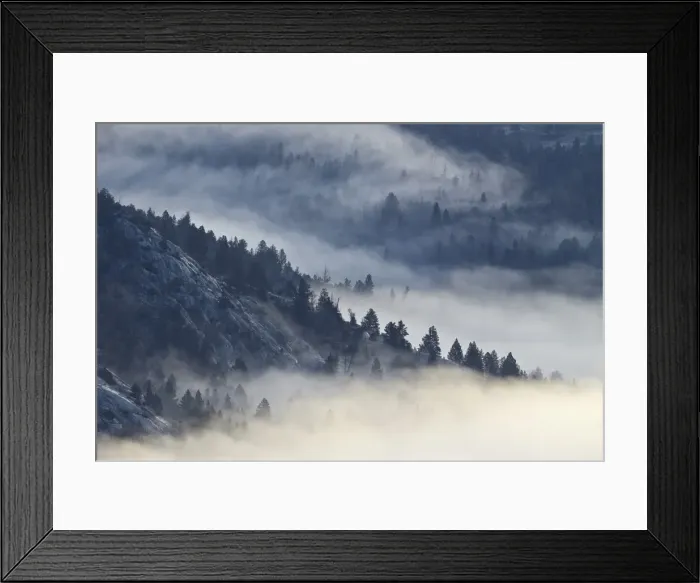 Framed Print : Fog among the mountains and evergreens, Yellowstone National Park, UNESCO World Heritage Site, Wyoming, United States of America, North America Framed Print : Fog among the mountains and evergreens, Yellowstone National Park, UNESCO World Heritage Site, Wyoming, United States of America, North America
