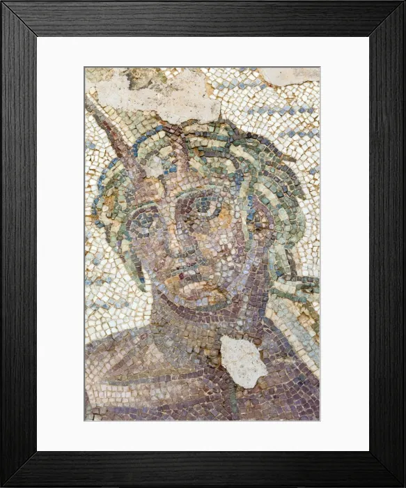 Framed Print : Roman mosaic, Carthage National Museum, Byrsa Hill, Carthage, UNESCO World Heritage Site, Tunis, Tunisia, North Africa, Africa Framed Print : Roman mosaic, Carthage National Museum, Byrsa Hill, Carthage, UNESCO World Heritage Site, Tunis, Tunisia, North Africa, Africa