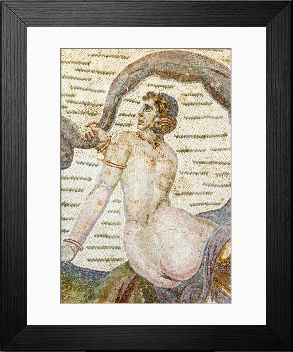 Framed Print : Roman mosaic, Carthage National Museum, Byrsa Hill, Carthage, UNESCO World Heritage Site, Tunis, Tunisia, North Africa, Africa Framed Print : Roman mosaic, Carthage National Museum, Byrsa Hill, Carthage, UNESCO World Heritage Site, Tunis, Tunisia, North Africa, Africa