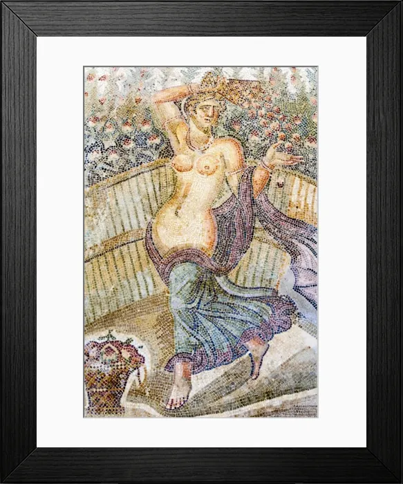 Framed Print : Roman mosaic, Carthage National Museum, Byrsa Hill, Carthage, UNESCO World Heritage Site, Tunis, Tunisia, North Africa, Africa Framed Print : Roman mosaic, Carthage National Museum, Byrsa Hill, Carthage, UNESCO World Heritage Site, Tunis, Tunisia, North Africa, Africa