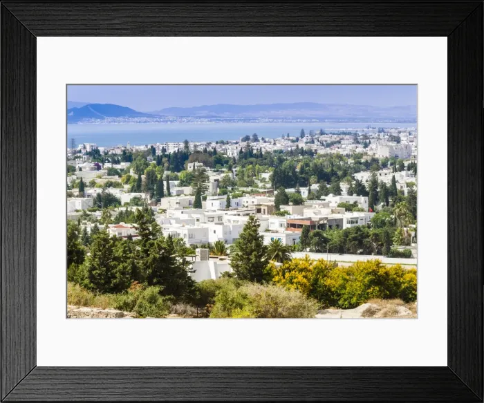 Framed Print : Byrsa Hill looking down on the ancient port at the port of Carthage, Tunis, Tunisia, North Africa, Africa
