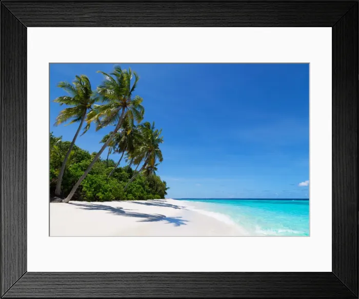 Framed Print : Palm trees on a beautiful deserted beach on an island in the Northern Huvadhu Atoll, Maldives, Indian Ocean, Asia Framed Print : Palm trees on a beautiful deserted beach on an island in the Northern Huvadhu Atoll, Maldives, Indian Ocean, Asia