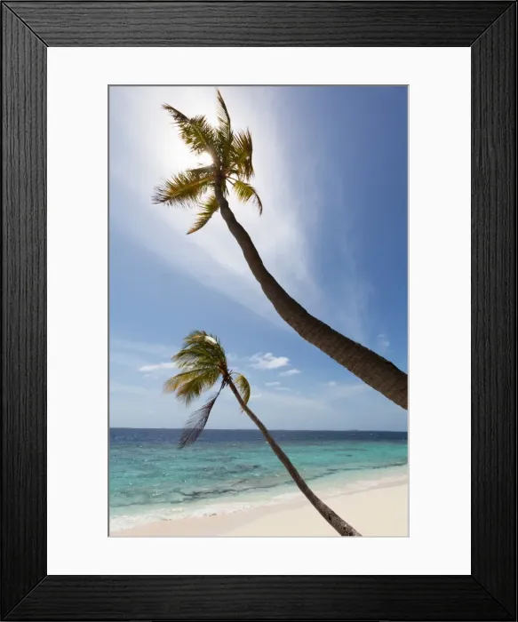 Framed Print : Two palm trees silhouetted against the sky on a deserted beach on an island in the Northern Huvadhu Atoll, Maldives, Indian Ocean, Asia Framed Print : Two palm trees silhouetted against the sky on a deserted beach on an island in the Northern Huvadhu Atoll, Maldives, Indian Ocean, Asia