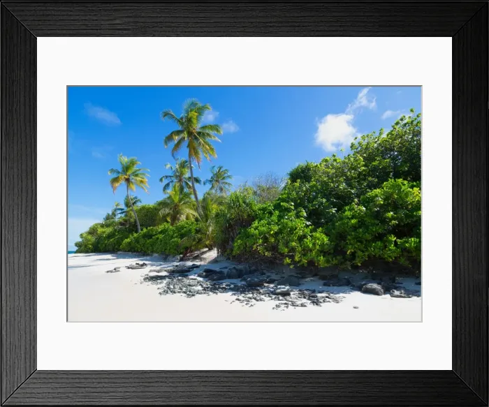 Framed Print : A deserted beach and tropical vegetation on an island in the Northern Huvadhu Atoll, Maldives, Indian Ocean, Asia Framed Print : A deserted beach and tropical vegetation on an island in the Northern Huvadhu Atoll, Maldives, Indian Ocean, Asia
