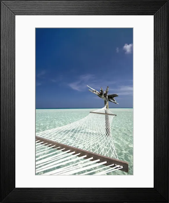 Framed Print : Hammock in tropical lagoon, Maldives, Indian Ocean, Asia Framed Print : Hammock in tropical lagoon, Maldives, Indian Ocean, Asia