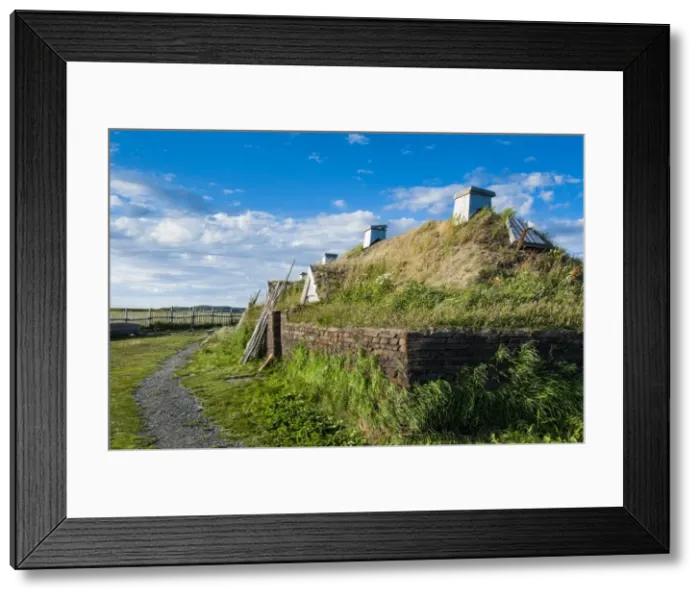 Framed Print : Norse settlement, L Anse aux Meadows National Historic Site, UNESCO World Heritage Site, only Viking site in America, Newfoundland, Canada, North America Framed Print : Norse settlement, L Anse aux Meadows National Historic Site, UNESCO World Heritage Site, only Viking site in America, Newfoundland, Canada, North America