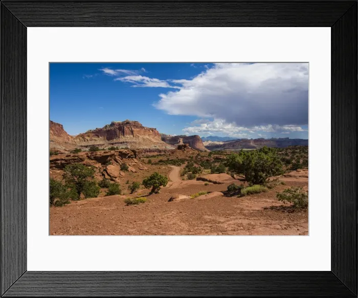 Framed Print : Red sandstone cliffs in the Capitol Reef National Park, Utah, United States of America, North America Framed Print : Red sandstone cliffs in the Capitol Reef National Park, Utah, United States of America, North America
