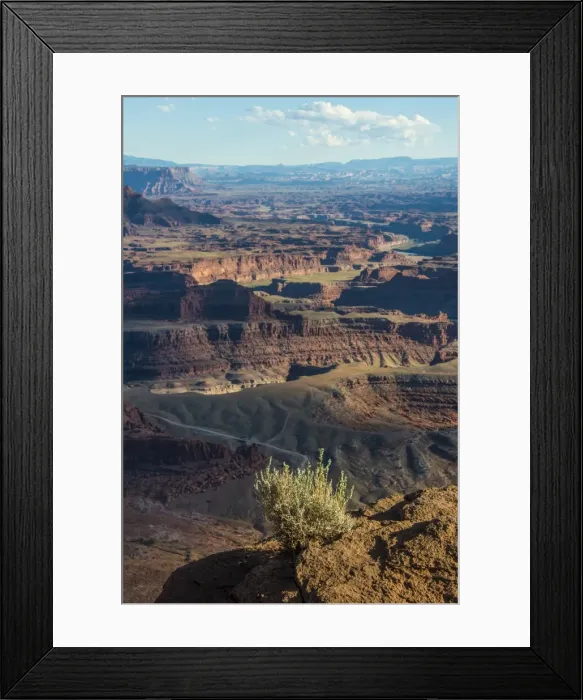Framed Print : View over the canyonlands and the Colorado River from the Dead Horse State Park, Utah, United States of America, North America Framed Print : View over the canyonlands and the Colorado River from the Dead Horse State Park, Utah, United States of America, North America
