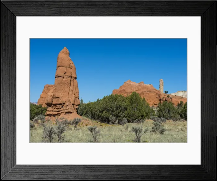 Framed Print : Sandstone chimneys in the Kodachrome Basin State Park, Utah, United States of America, North America Framed Print : Sandstone chimneys in the Kodachrome Basin State Park, Utah, United States of America, North America