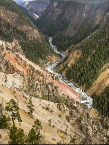 The colourful Grand Canyon of the Yellowstone, Yellowstone National Park, UNESCO World Heritage Site, Wyoming, United States of America, North America