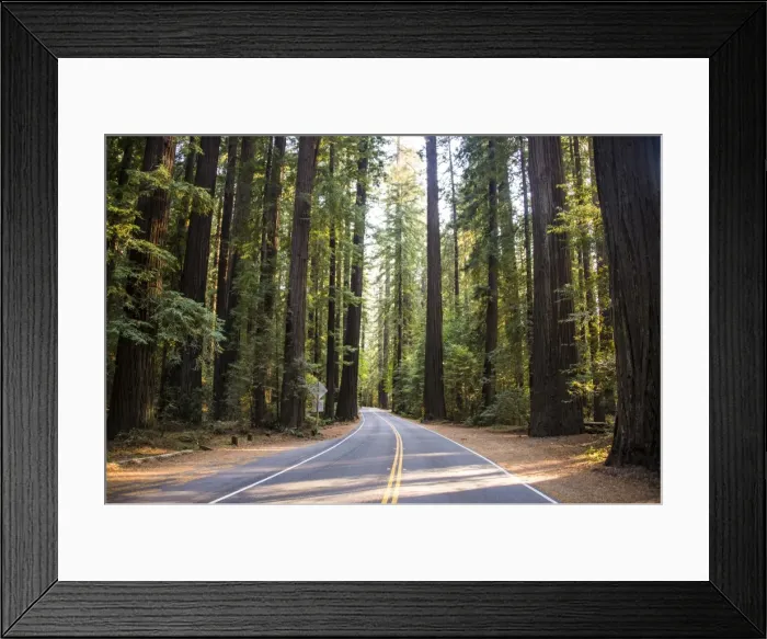 Framed Print : Road leading through the Avenue of the Giants, giant Redwood trees, Northern California, USA Framed Print : Road leading through the Avenue of the Giants, giant Redwood trees, Northern California, USA