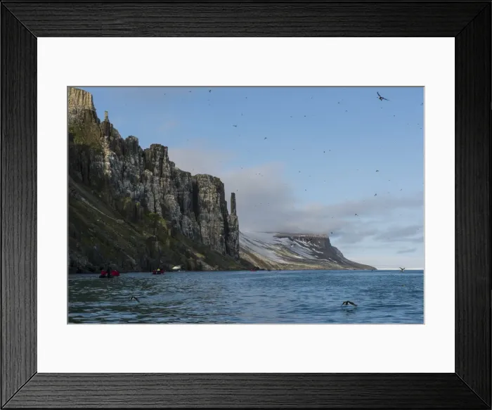Framed Print : Tourist in zodiacs looking at cliffs of Alkerfjellet with thousands of kittywakes, Svalbard, Arctic Framed Print : Tourist in zodiacs looking at cliffs of Alkerfjellet with thousands of kittywakes, Svalbard, Arctic