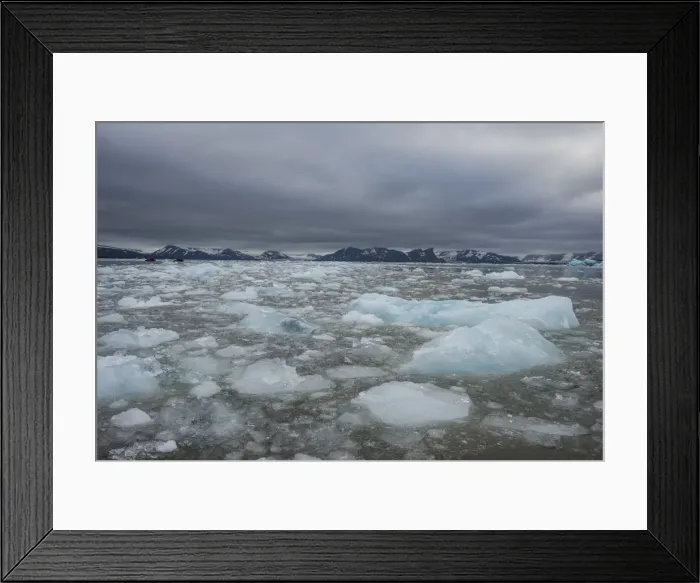 Framed Print : Drifting glacier ice, Hornsund, Svalbard, Arctic, Norway, Scandinavia, Europe Framed Print : Drifting glacier ice, Hornsund, Svalbard, Arctic, Norway, Scandinavia, Europe
