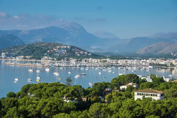 View over the bay of Port de Pollenca with many sailing boats, Mallorca, Balearic Islands, Spain, Mediterranean, Europe