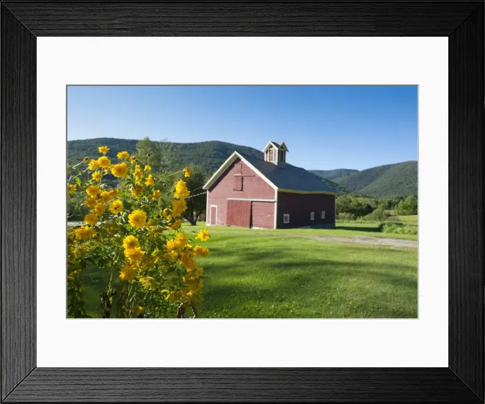 Framed Print : Little farm in the mountains in Dorset, Vermont, New England, United States of America, North America Framed Print : Little farm in the mountains in Dorset, Vermont, New England, United States of America, North America