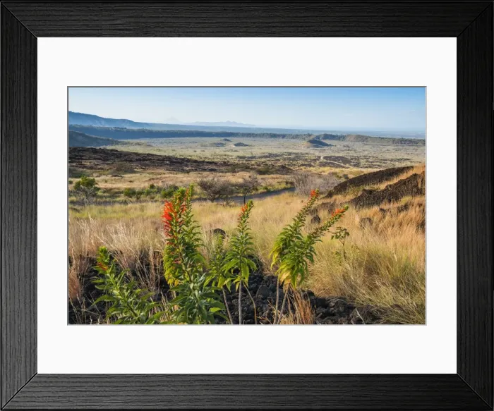 Framed Print : Volcanic landscape of the Masaya caldera, Nicaraguas first national park, with craters and a a blocky lava, Masaya, Nicaragua, Central America Framed Print : Volcanic landscape of the Masaya caldera, Nicaraguas first national park, with craters and a a blocky lava, Masaya, Nicaragua, Central America