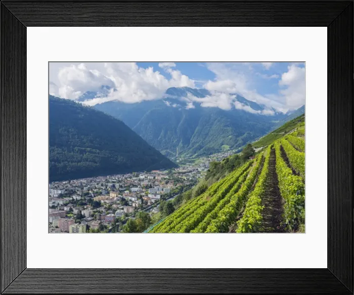 Framed Print : Vineyards, Martigny, Valais, Swiss Alps, Switzerland, Europe Framed Print : Vineyards, Martigny, Valais, Swiss Alps, Switzerland, Europe