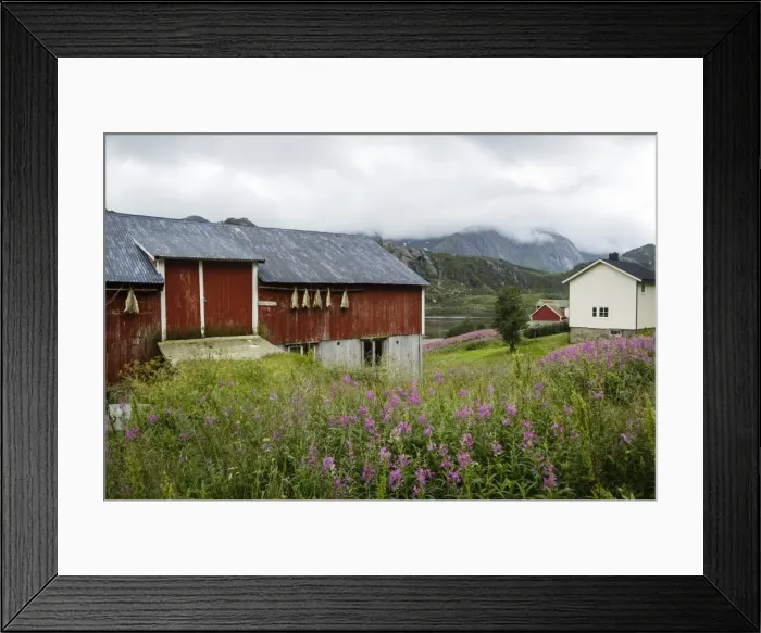 Framed Print : Houses in Tangstad, Vestvagoy commune, Lofoten Islands, Arctic, Norway, Scandinavia, Europe Framed Print : Houses in Tangstad, Vestvagoy commune, Lofoten Islands, Arctic, Norway, Scandinavia, Europe