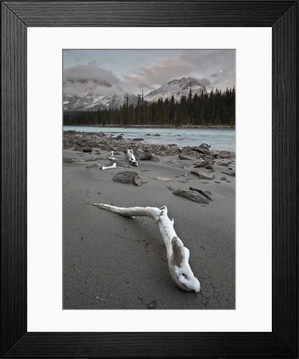 Framed Print : Snow-covered driftwood along the Athabasca River, Jasper National Park, UNESCO World Heritage Site, Alberta, Canada, North America Framed Print : Snow-covered driftwood along the Athabasca River, Jasper National Park, UNESCO World Heritage Site, Alberta, Canada, North America