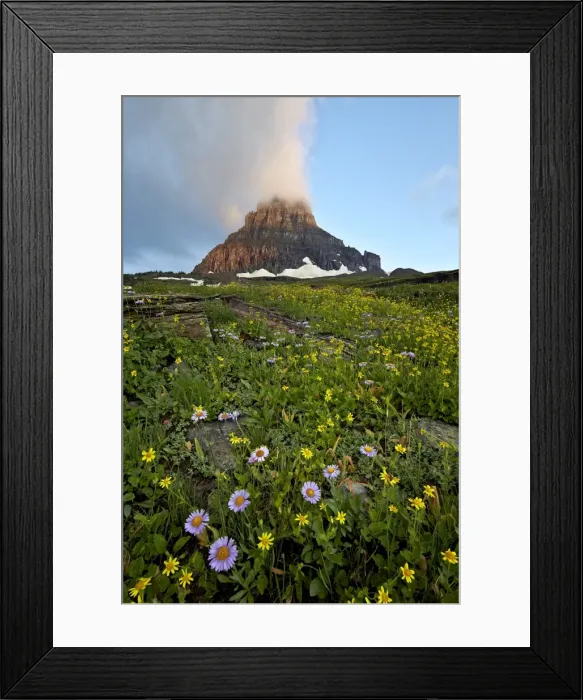Framed Print : Alpine meadow, Glacier National Park, Montana, United States of America, North America Framed Print : Alpine meadow, Glacier National Park, Montana, United States of America, North America