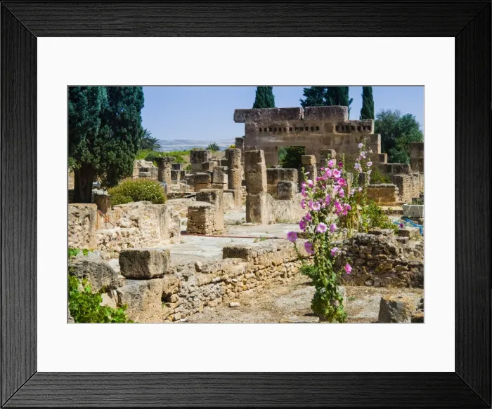 Framed Print : Waterfall House, Utica Punic and Roman archaeological site, Tunisia, North Africa, Africa Framed Print : Waterfall House, Utica Punic and Roman archaeological site, Tunisia, North Africa, Africa