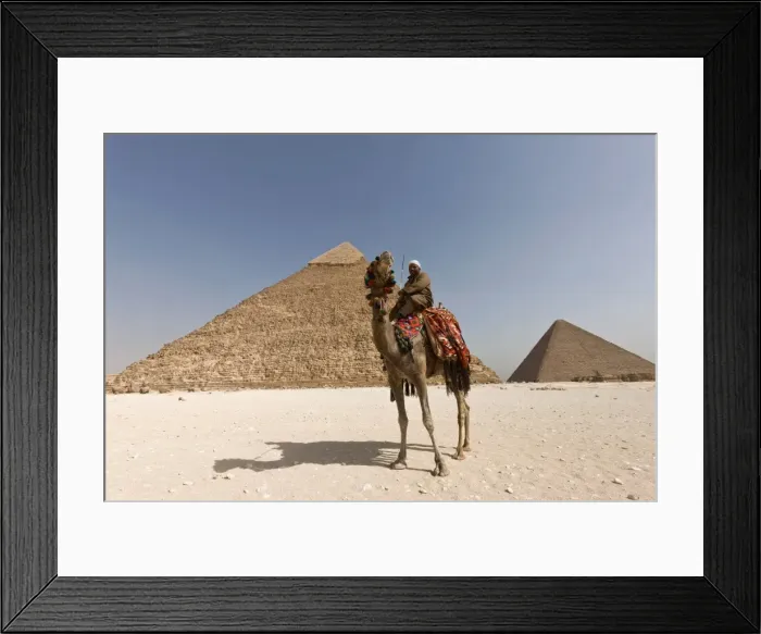 Framed Print : Man in traditional dress on a camel in front of the Pyramid of Khafre in Giza, UNESCO World Heritage Site, near Cairo, Egypt, North Africa, Africa