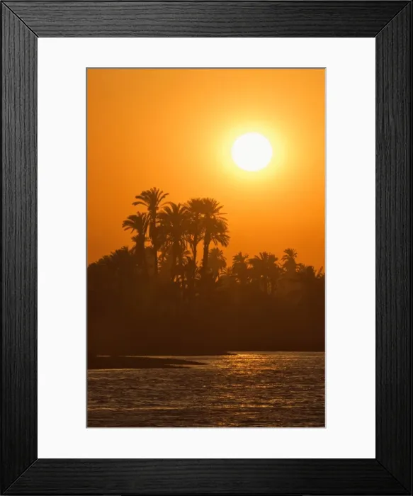 Framed Print : Sunset over palm trees on the banks of the River Nile, Egypt, North Africa, Africa Framed Print : Sunset over palm trees on the banks of the River Nile, Egypt, North Africa, Africa