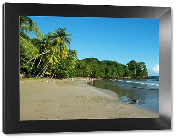 Bacolet Beach, Tobago, Trinidad and Tobago, West Indies, Caribbean, Central America