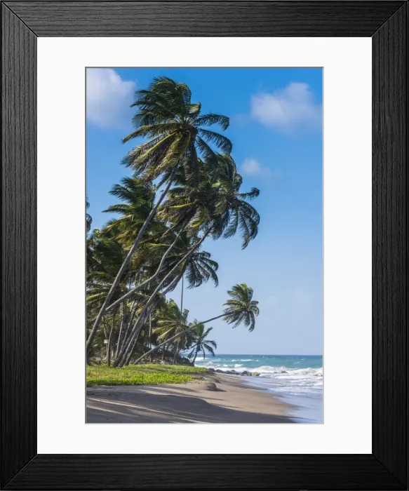 Framed Print : The beach of Sauteurs, Grenada, Windward Islands, West Indies, Caribbean, Central America Framed Print : The beach of Sauteurs, Grenada, Windward Islands, West Indies, Caribbean, Central America