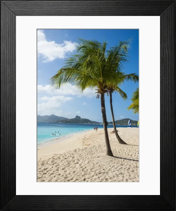 Framed Print : Palm Island, The Grenadines, St. Vincent and the Grenadines, Windward Islands, West Indies, Caribbean, Central America Framed Print : Palm Island, The Grenadines, St. Vincent and the Grenadines, Windward Islands, West Indies, Caribbean, Central America